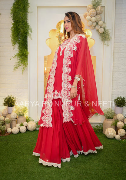 Chiffon Cape with Hand Embroidered Borders and Embroidered Kurta paired with Palazzos